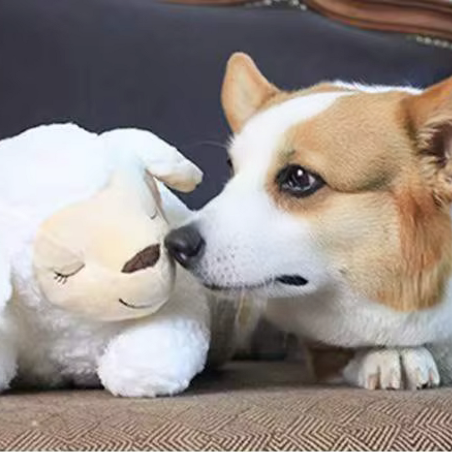 Pet Heartbeat Puppy Companion