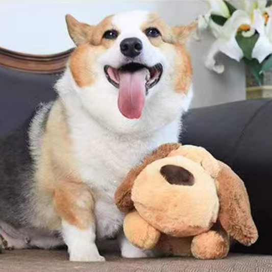 Pet Heartbeat Puppy Companion