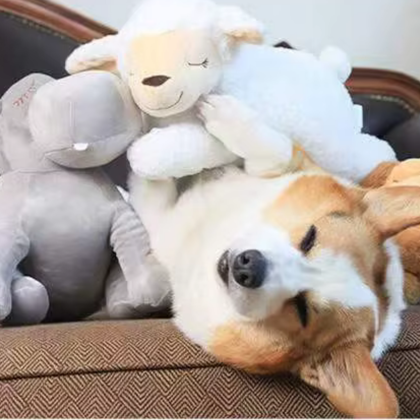 Pet Heartbeat Puppy Companion